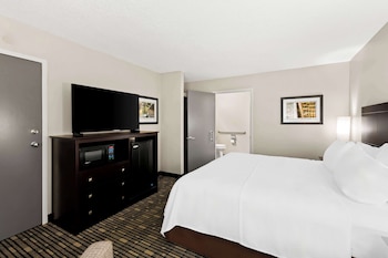 Standard Room, 1 King Bed, Accessible, Non Smoking