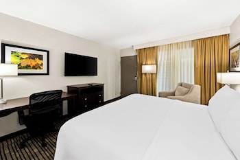 Standard Room, 1 King Bed, Non Smoking, Refrigerator & Microwave (Pet Friendly)