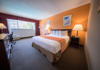 Room, 1 King Bed, Non Smoking