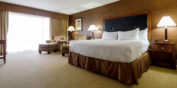 Executive Room, 1 King Bed (Level)