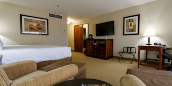 Executive Room, 1 King Bed (Level)