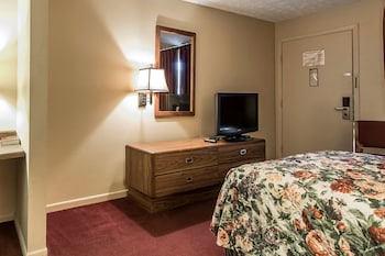 Standard Room, 1 Double Bed, Non Smoking
