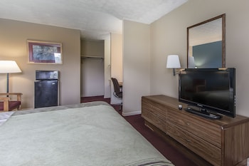 Standard Room, 1 Double Bed, Non Smoking