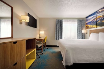 Studio Suite, Multiple Beds, Non Smoking