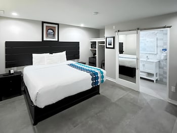 Pet Friendly Room with One King Bed (2 pets only)