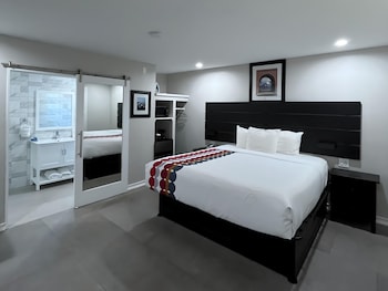 Pet Friendly Room with One King Bed (2 pets only)