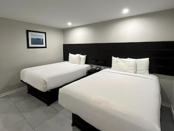 Pet Friendly Room with Two Queen Beds