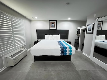 Pet Friendly Room with One King Bed (2 pets only)