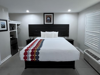 Pet Friendly Room with One King Bed (2 pets only)