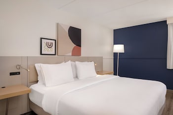 Room, 1 King Bed, Accessible (Mobility, Roll-In Shower)