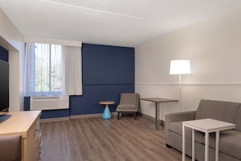Suite, 1 King Bed