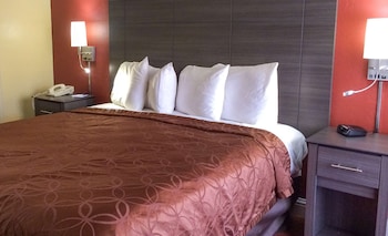 Room, 1 King Bed, Accessible, Non Smoking (No A/C)