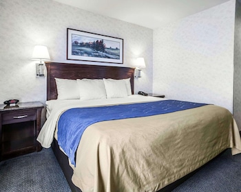 Standard Room, 1 King Bed, Non Smoking
