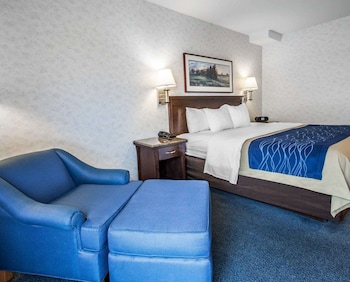 Suite, 1 King Bed with Sofa bed, Non Smoking