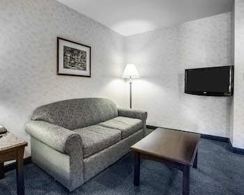 Suite, 1 King Bed with Sofa bed, Non Smoking