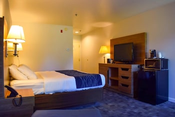 Standard Room, 1 King Bed, Non Smoking