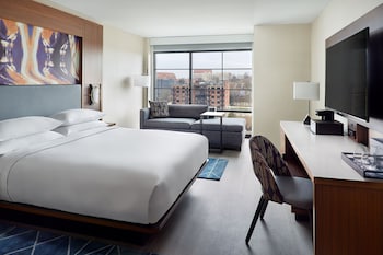 Room, 1 King Bed with Sofa bed