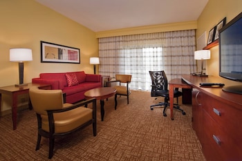 Suite, 1 King Bed with Sofa bed