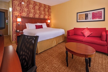 Suite, 1 King Bed with Sofa bed