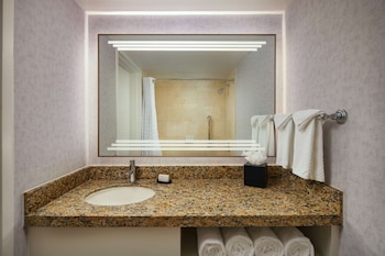 Room, 1 King Bed, Accessible, Non Smoking (Non-Suite, Roll-in Shower)