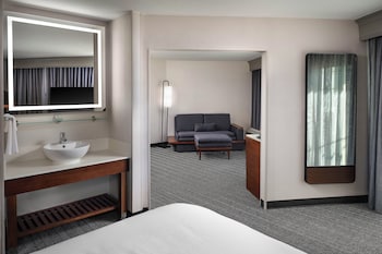 Suite, 1 King Bed with Sofa bed, Hearing Accessible