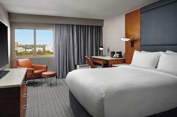 Room, 1 King Bed with Sofa bed