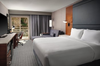 Room, 1 King Bed with Sofa bed