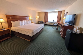 Room, 1 King Bed, Accessible, Non Smoking