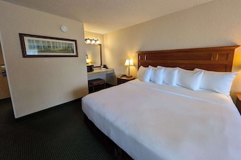 Standard Room, 1 King Bed, Non Smoking