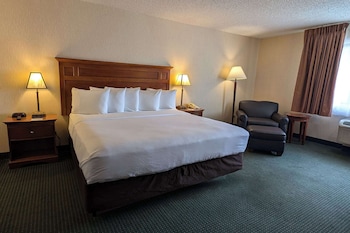 Room, 1 King Bed, Accessible, Non Smoking