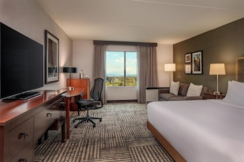 Deluxe Room, 1 King Bed with Sofa bed, Accessible (Hearing)