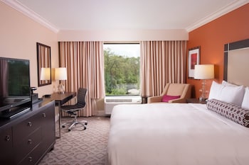 Room, 1 King Bed