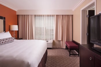 Suite, 1 Bedroom