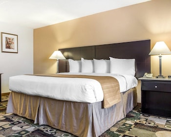 Suite, 1 King Bed with Sofa bed, Accessible, Non Smoking