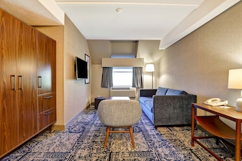 Suite, 1 King Bed with Sofa bed