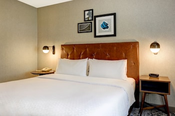 Suite, 1 King Bed with Sofa bed