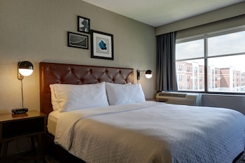 Suite, 1 King Bed with Sofa bed