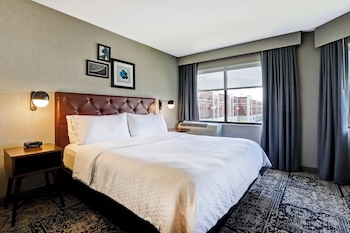 Room, 1 King Bed with Sofa bed