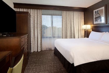 Suite, 1 Bedroom, Accessible, Non Smoking (Mobility, Roll-in Shower)