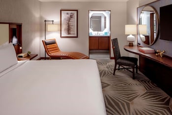 Room, 1 King Bed