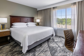 Room, 1 King Bed