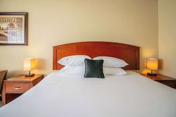 Executive Suite, 1 King Bed