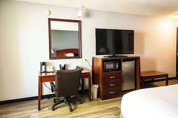 Family Room (1 King, 2 Queen)