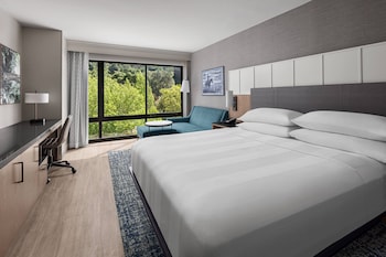 Room, 1 King Bed