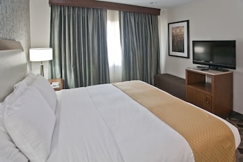 Room, 1 King Bed with Sofa bed