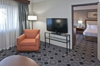Suite, 1 King Bed, Non Smoking