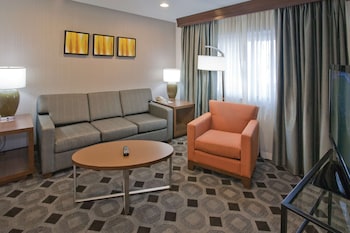 Room, 1 King Bed with Sofa bed