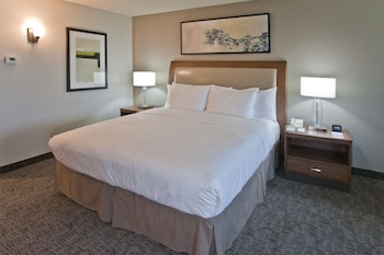 Room, 1 King Bed (Larger Room)