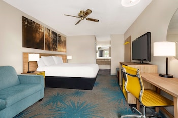 Standard Room, 1 King Bed, Smoking