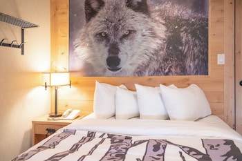 Superior Studio (Wolf Condo)